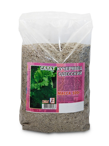 к салат кучерявец одесский
