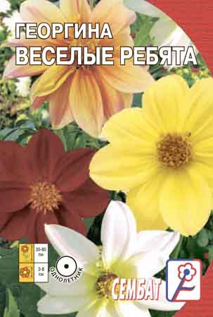 Georgina Veseliye Rebyata 