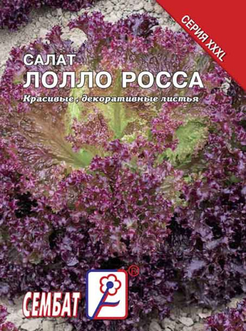 salat lollo rossa sbat-134-07-ru.indd