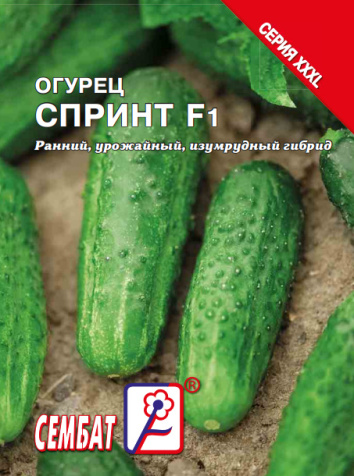 bandicam 2023-12-08 15-40-16-844