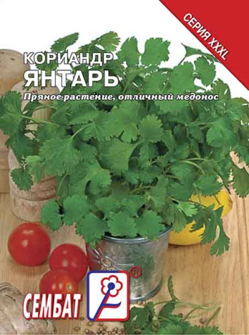 koriandr yantar sbat-65-07-ru.indd