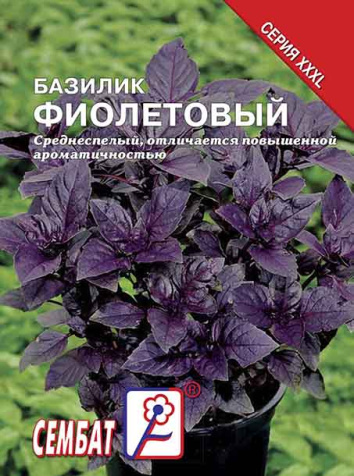 bazilik fioletovui sbat-124-07-ru