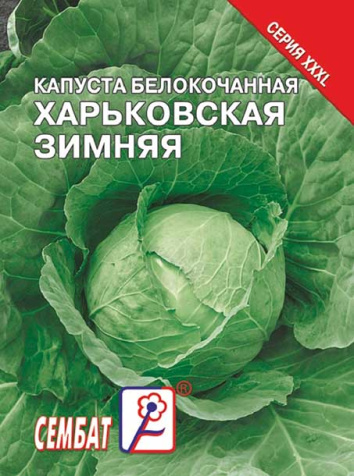 kapusta harkovskaya zimnya