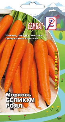 morkov belikum roayl sbat-26-02-ru