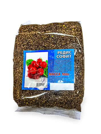 photo_2026-02-05_09-23-52 копия копия