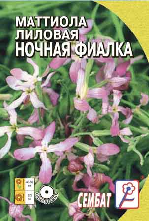 Matiola Lilovaya Nochnaya Fialka