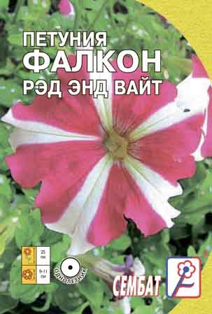 Petuniya Falkon Red  and Vait
