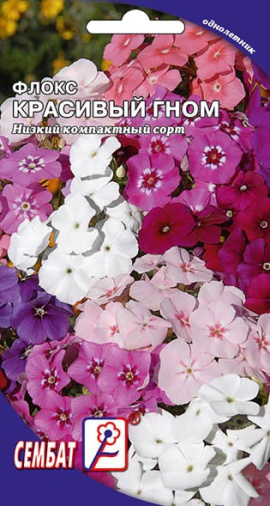 flox krasivui gnom sbat-10-01-ru