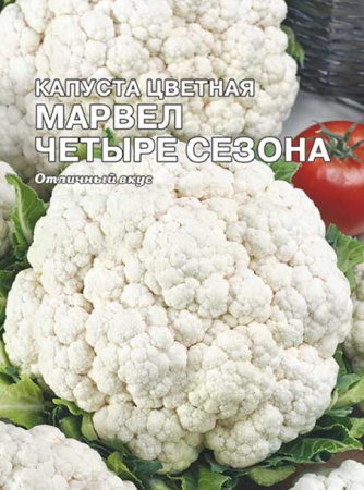 kapusta marvel 4 seasons