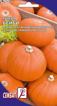 tikva baby sbat-60-01-ru