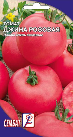 tomat dgina rozovay sbat-59-01-ru