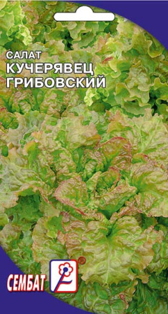 salat kucherayvec gribovskii sbat-15-01-ru