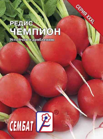 redis chempion sbat-232-08-ru.indd