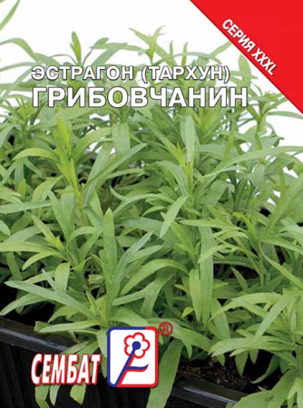 estragon