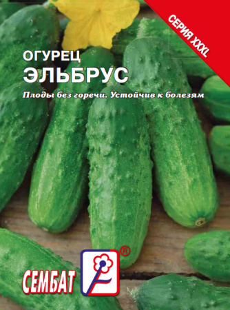 bandicam 2023-12-08 15-39-56-989