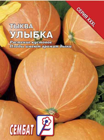 tikva ylubka sbat-142-07-ru.indd