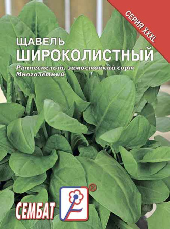 schavel shirokolistnui sbat-36-07-ru