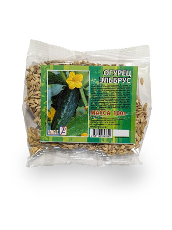 _Эльбрус копия копия