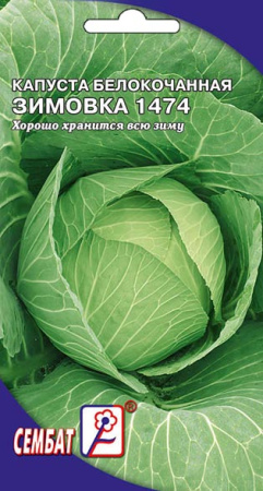 kapusta zimovka sbat-24-01-ru