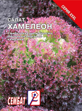salat hamelion sbat-141-01-ru