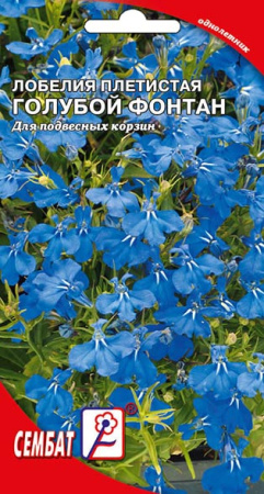 lobeliay goluboi fontan sbat-03-01-ru