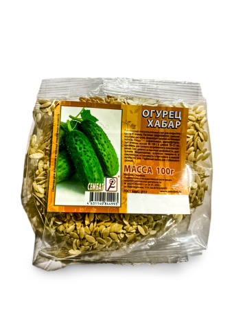 photo_2026-02-05_08-33-33