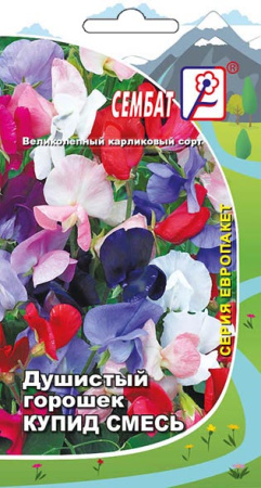 dushistui goroshek kupid smes sbat-21-02-ru