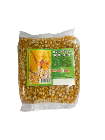 photo_2026-01-30_19-08-23