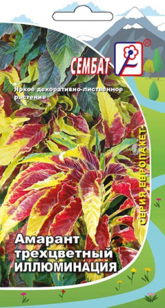 amarant illuminaciay sbat-34-03-ru