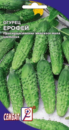 ogurec erofei sbat-53-01-ru