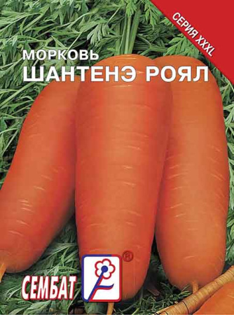 morkov shantane roayl sbat-31-07-ru