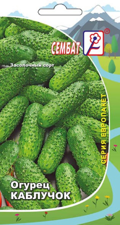 ogurec kaluchok sbat-28-02-ru