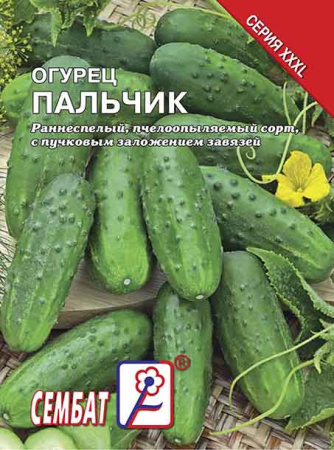 ogurec palchik sbat-05-08-ru.indd