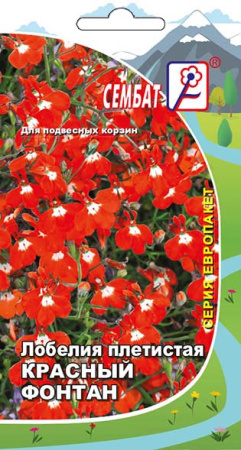 lobeliay krasnui fontan sbat-04-02-ru