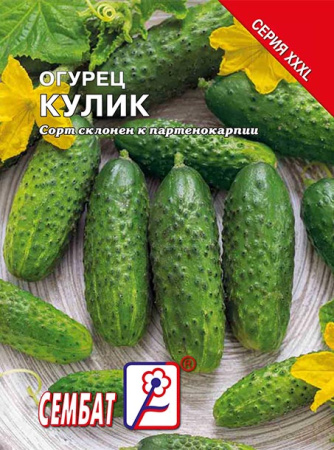 ogurec-kylik-sbat-431-09-ru