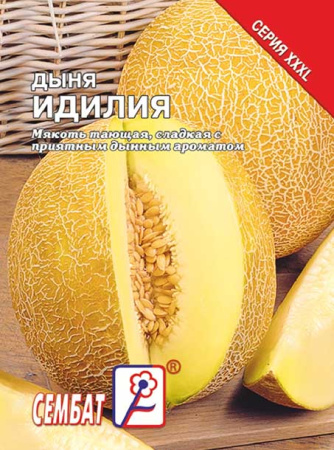 dunya idiliya