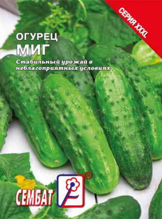 bandicam 2025-03-19 18-24-15-427