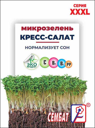 XXXL mikrozelen kress salat