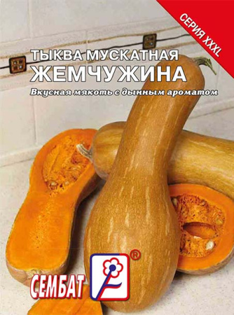 tikva-muskatnay-zhemchuzhina-sbat-426-09-ru