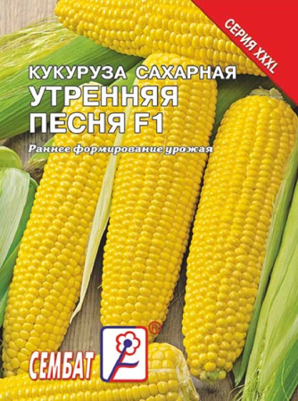 kukuruza utrennya pesnya