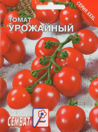 tomat cherri