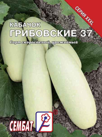 kabachok gribovskii 37 sbat-160-08-ru
